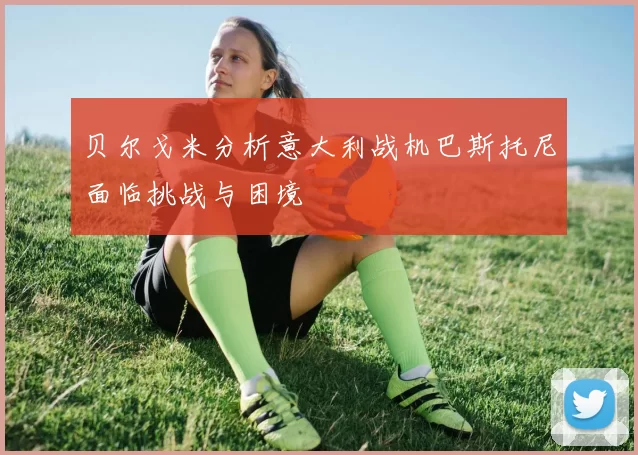 贝尔戈米分析意大利战机巴斯托尼面临挑战与困境
