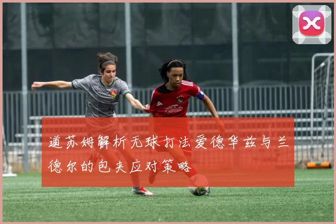 道苏姆解析无球打法爱德华兹与兰德尔的包夹应对策略